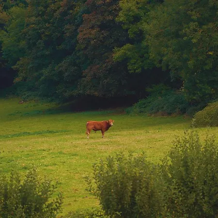 Apartmán La Porte Bleue