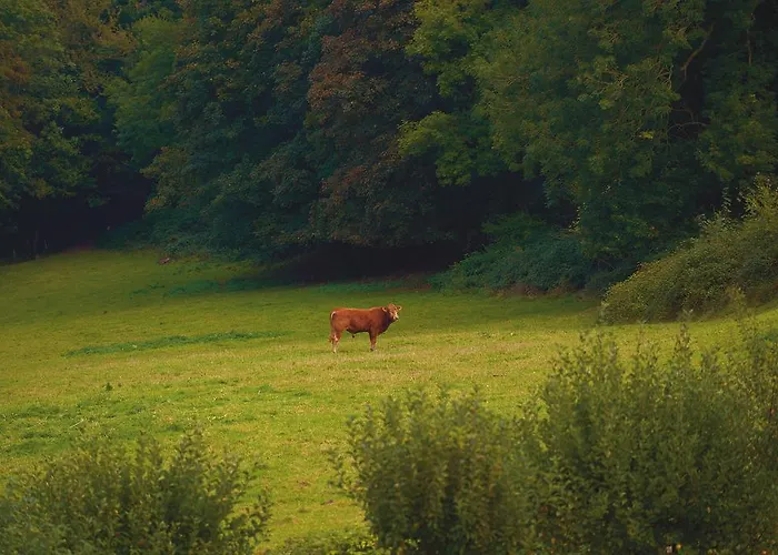 Apartment La Porte Bleue